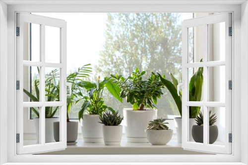 Fototapeta Naklejka Na Ścianę Okno 3D - Home plants in white pots on the windowsill: succulents, Spathiphyllum,aloe vera,hamedorea or Areca palm. Home plants care concept. Houseplants in a modern interior.