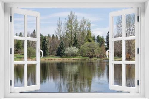 Fototapeta Naklejka Na Ścianę Okno 3D - A Large Pond with Trees in the Background