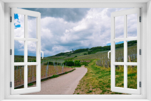 Fototapeta Naklejka Na Ścianę Okno 3D - Extensive vineyards in the Rheingau region of Germany, famous for its 