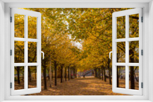 Fototapeta Naklejka Na Ścianę Okno 3D - Autumn view from a park in Paris France