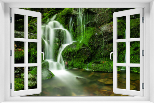 Fototapeta Naklejka Na Ścianę Okno 3D - Grüner Wasserfall im Wald