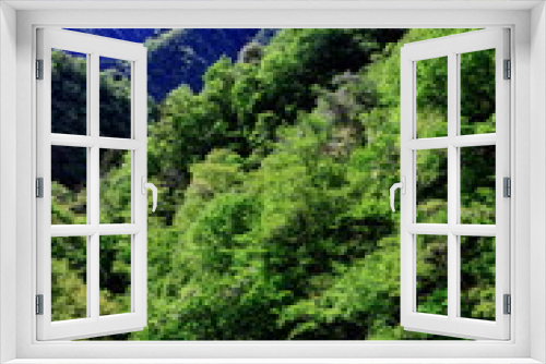 Fototapeta Naklejka Na Ścianę Okno 3D - 奥多摩の新緑と藤