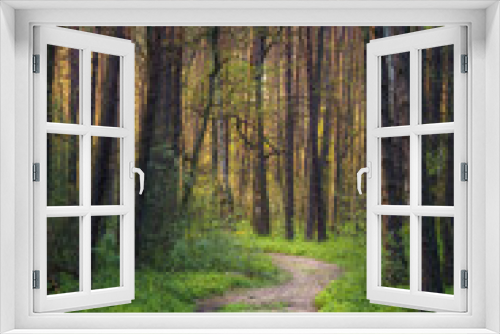 Fototapeta Naklejka Na Ścianę Okno 3D - Piękna widokowa ścieżka w sosnowym lesie