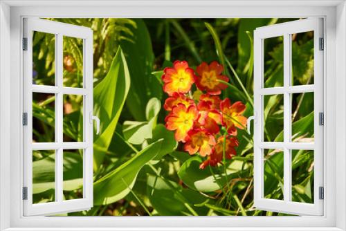 Fototapeta Naklejka Na Ścianę Okno 3D - kwiaty 