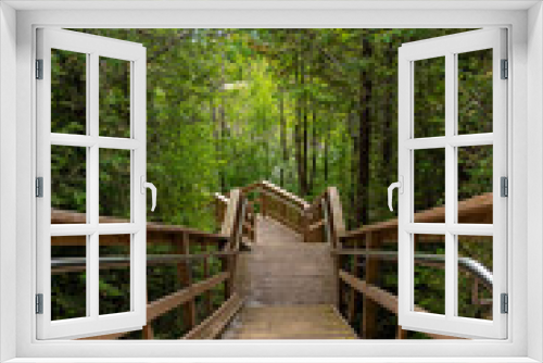 Fototapeta Naklejka Na Ścianę Okno 3D - A stairway leads down through a forest towards Lake Huron as part of the Lighthouse Trail in Goderich, Ontario.