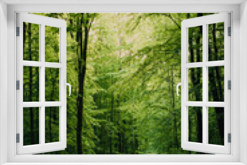 Fototapeta Naklejka Na Ścianę Okno 3D - Details of the spring nature with fresh green growing colors in the magic forest