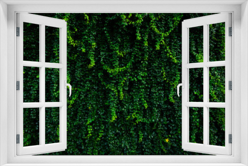 Fototapeta Naklejka Na Ścianę Okno 3D - Top view Green leaves pattern background, Natural wallpaper