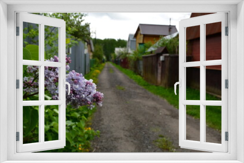 Fototapeta Naklejka Na Ścianę Okno 3D - A branch of blooming lilac on a blurry street background in a dacha village on a cloudy spring day