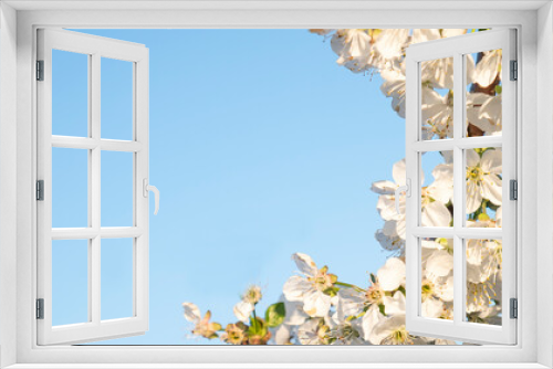 Fototapeta Naklejka Na Ścianę Okno 3D - White lilac flowers on a blue sky. Copy space. Banner