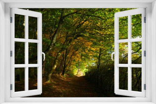 Fototapeta Naklejka Na Ścianę Okno 3D - Duvenstedter Brook im Herbst
