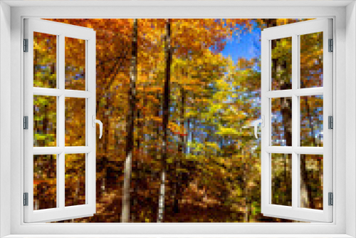 Fototapeta Naklejka Na Ścianę Okno 3D - Color grading by nature - Fall in Central Ontario, Canada