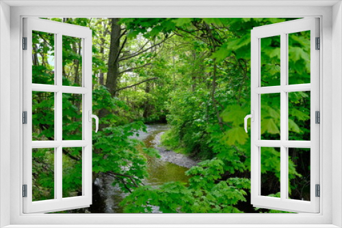 Fototapeta Naklejka Na Ścianę Okno 3D - Fluss geht durch einen grünen frischen Wald