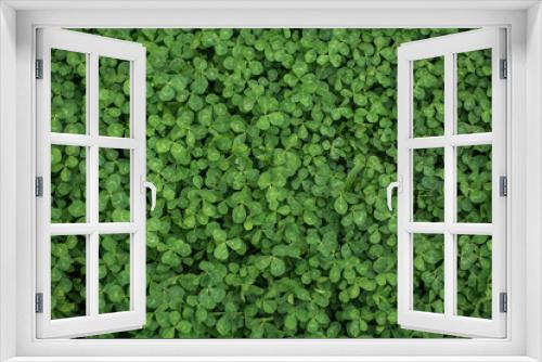 Fototapeta Naklejka Na Ścianę Okno 3D - green grass texture