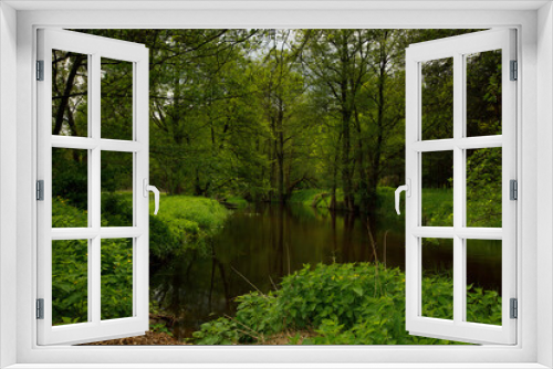 Fototapeta Naklejka Na Ścianę Okno 3D - pond in the park
