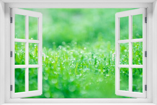 Fototapeta Naklejka Na Ścianę Okno 3D - green grass with dew drops