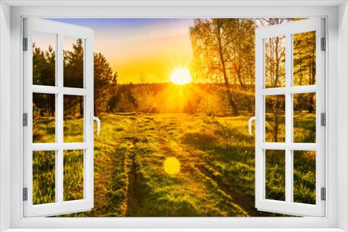 Fototapeta Naklejka Na Ścianę Okno 3D - Scenic view at beautiful spring sunset on a shiny road with pines, birch trees, bushes, grass, golden sun rays, deep blue cloudy sky and forest on a background, spring landscape