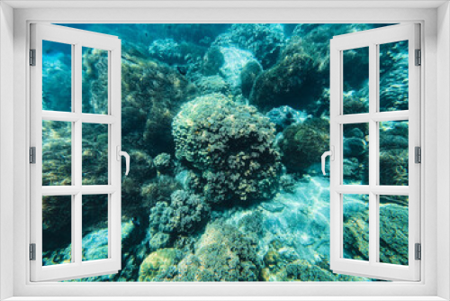 Fototapeta Naklejka Na Ścianę Okno 3D - Under the sea Travel in the diving sea