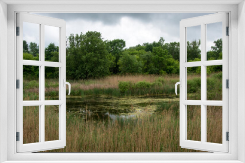 Fototapeta Naklejka Na Ścianę Okno 3D - Beautiful swamp, nature reserve