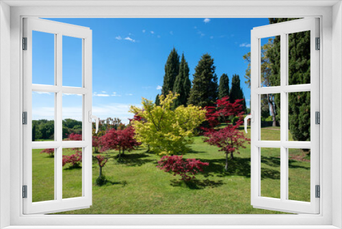 Fototapeta Naklejka Na Ścianę Okno 3D - Ornamental trees and shrubs in a park or botanical garden