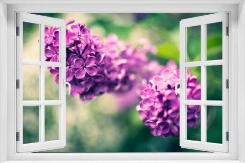 Fototapeta Naklejka Na Ścianę Okno 3D - Uroki wiosny