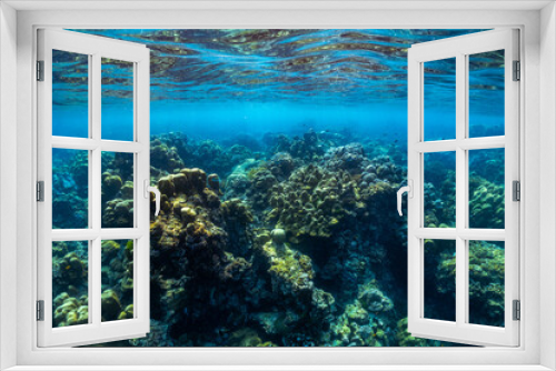Fototapeta Naklejka Na Ścianę Okno 3D - underwater scene with coral reef and fish; Surin Islands; Thailand.
