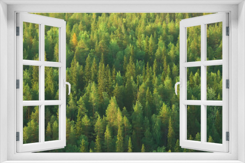 Fototapeta Naklejka Na Ścianę Okno 3D - texture coniferous forest top view / landscape green forest, taiga peaks of fir trees