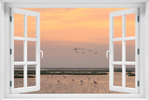 Fototapeta Naklejka Na Ścianę Okno 3D - sunset and flamingos