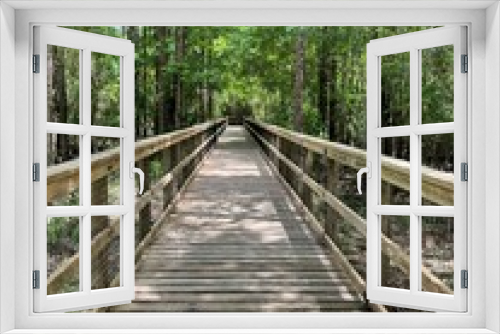 Fototapeta Naklejka Na Ścianę Okno 3D -  entrance  bridge at Blackwater River State Park Florida 