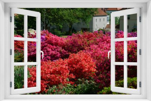 Fototapeta Naklejka Na Ścianę Okno 3D - A sea of red flowers