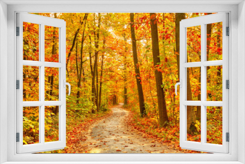 Fototapeta Naklejka Na Ścianę Okno 3D - Pathway in the autumn forest