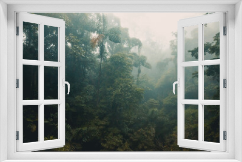 Fototapeta Naklejka Na Ścianę Okno 3D - Misty Rainforest of Costa Rica