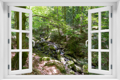 Fototapeta Naklejka Na Ścianę Okno 3D - Foreste Casentinesi, Italy