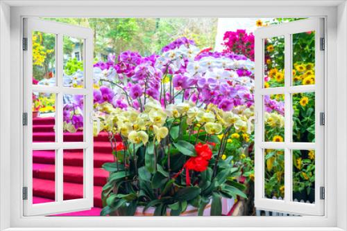 Fototapeta Naklejka Na Ścianę Okno 3D - Phalaenopsis orchids bloom in spring lunar new year 2021 adorn the beauty of nature, a rare wild orchid decorated in tropical gardens