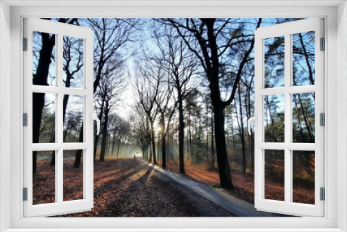 Fototapeta Naklejka Na Ścianę Okno 3D - Winter Forest in the Netherlands