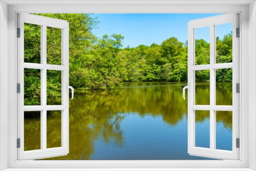 Fototapeta Naklejka Na Ścianę Okno 3D - Virginia Water lake
