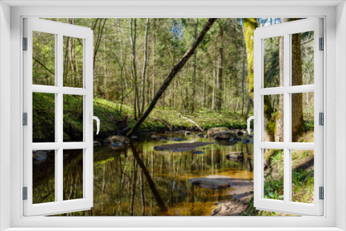 Fototapeta Naklejka Na Ścianę Okno 3D - calm forest smal lriver with small waterfall from natural rocks