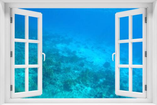Fototapeta Naklejka Na Ścianę Okno 3D - Stunning undersea coral reef view, Red Sea, Egypt, Sharm El Sheikh