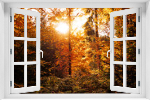 Fototapeta Naklejka Na Ścianę Okno 3D - sunset in the autumn woods