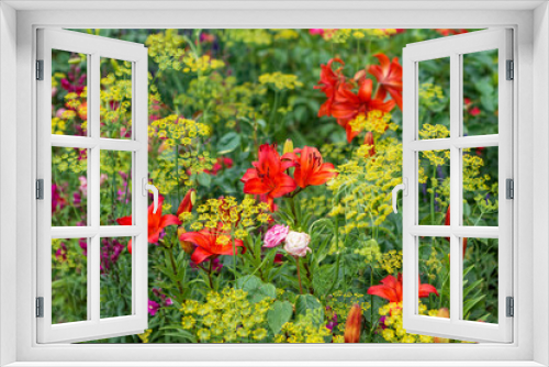 Fototapeta Naklejka Na Ścianę Okno 3D - Flowers in the garden