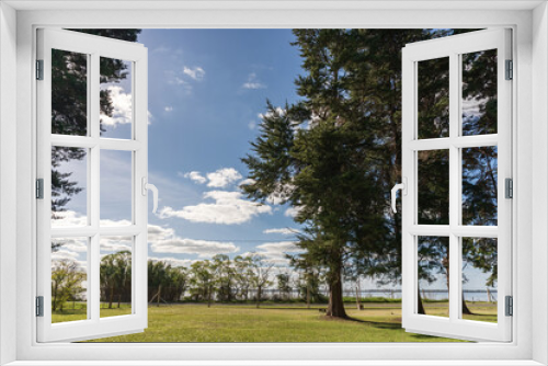 Fototapeta Naklejka Na Ścianę Okno 3D - Natural park in the middle of the city with lawns and large trees in Argentina