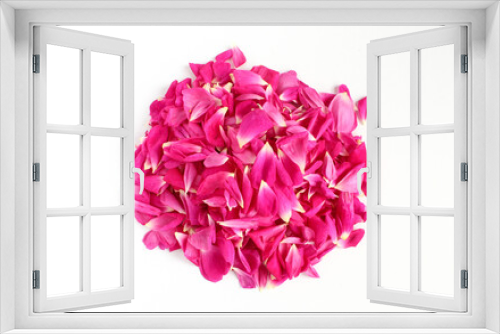 Fototapeta Naklejka Na Ścianę Okno 3D - Pink organic rose petals isolated on white background