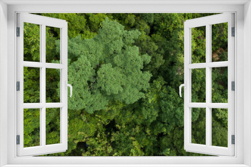 Fototapeta Naklejka Na Ścianę Okno 3D - Beautiful  landscape in summer tropical forest