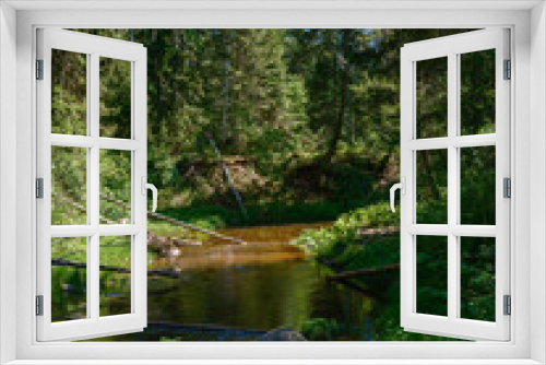 Fototapeta Naklejka Na Ścianę Okno 3D - countryside forest river in summer with high grass and foliage