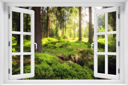 Fototapeta Naklejka Na Ścianę Okno 3D - Frischer grüner Naturwald