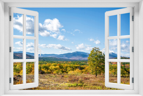 Fototapeta Naklejka Na Ścianę Okno 3D - .Autumn landscape with a lone tree and hills covered with colored maples and blue mountains on the horizon in Vermont