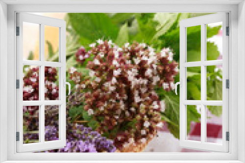 Fototapeta Naklejka Na Ścianę Okno 3D - Herbs