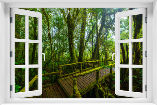 Fototapeta Naklejka Na Ścianę Okno 3D - Beautiful forest path 