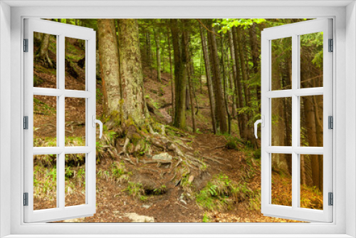 Fototapeta Naklejka Na Ścianę Okno 3D - Beautiful forest around Fojnica, Bosnia