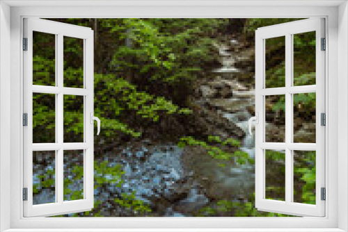 Fototapeta Naklejka Na Ścianę Okno 3D - Wilder Bergbach im Tal  mit Ahornbäumen im Frühjahr
