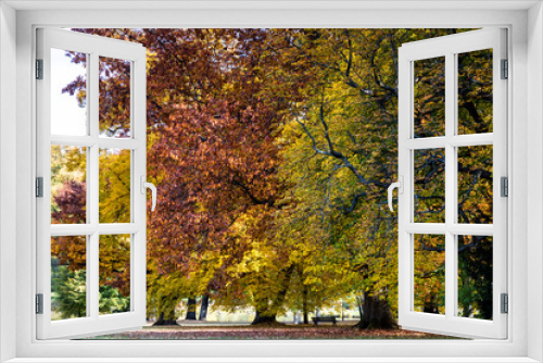 Fototapeta Naklejka Na Ścianę Okno 3D - Park of Bad Homburg in autumn